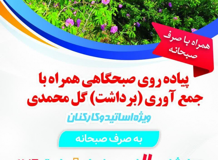 گزارش تصویری پیاده‌روی صبحگاهی همراه با جمع‌آوری (برداشت) گل محمدی