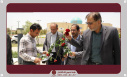 آزمایشی