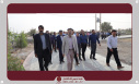برگزاری همایش پیاده روی و افتتاح جاده سلامت دانشگاه زابل به مناسبت هفته تربیت بدنی