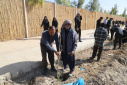 گزارش تصویری گرامیداشت روز درختکاری در دانشگاه زابل
