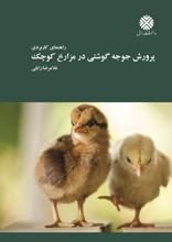 پرورش جوجه گوشتی در مزارع کوچک : راهنمای کاربردی